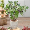 A potted fig tree with ripe fruit sits on a wooden stand, with other decorative items in the background. Produktbild-Vorschau