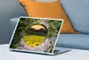 MuchoWow® Laptop Aufkleber Sticker Cover Durchschauen - Produktbild-Vorschau 4