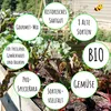 Gourmetgarten 8 Alte Sorten Set |  Gemüsesamen-Sets von Produktbild-Vorschau 5