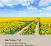 blumfeldt Fiamme Pila Ethanol Kamin - Kamin Ethanol mit bis Produktbild-Vorschau 9