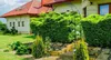 KADAX mříž "Atri", oblouk z růží, 250 cm, pergola černá Náhled obrázku produktu 6