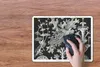 MuchoWow® Mauspad Mousepad Kunst - Koralle - Ernst Haeckel Produktbild-Vorschau 3