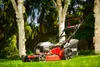 Honda Kosiarka Spalinowa Do Trawy Cedrus Ks53S-H Al Podgląd zdjęcia produktu 4