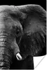 MuchoWow® Poster Tiere - Elefant - Wild - Schwarz - Weiß Produktbild-Vorschau 1