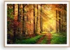 Gerahmtes Poster - Rahmen in heller Eiche - Wald Baum Natur Produktbild-Vorschau 1