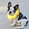 Collier tournesol réglable pour chats et petits chiens - Voir les images du produit 7