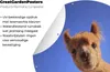 MuchoWow® Produktbild-Vorschau 4