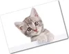 Tulup Glas Herdabdeckplatte - 80x52 cm - Produktbild-Vorschau 1