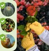 Guanti Praknu Rose Thornproof M Anteprima dell’immagine prodotto 3