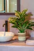 Mica Decorations Evergreen Kunstpflanze - H49 x Ø40 cm - Produktbild-Vorschau 2