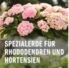 COMPO SANA® Rhododendronerde - 50 Liter Produktbild-Vorschau 8