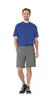 Planam Shorts Highline Gr. 4XL zink/kornblau/rot Produktbild-Vorschau 3