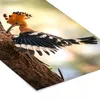 MuchoWow® MuchoWow® Gerahmtes Poster Vogel - Baum - Wald Produktbild-Vorschau 6