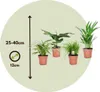 Amical pour les animaux - Set de 4 - Pet Friendy Mix - Voir les images du produit 2