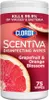 Clorox | Salviette disinfettanti - Pompelmo e fiori Anteprima dell’immagine prodotto 1