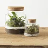 Vaso in vetro con sughero per bosco in vetro, altezza 21,5 Anteprima dell’immagine prodotto 5