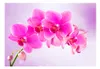 Basera Fototapete Orchideenmotiv 10110906-120, Vliestapete, Produktbild-Vorschau 2