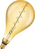 A single light bulb on a white background. Anteprima dell’immagine prodotto