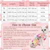 Traje de recuperación postoperatorio para gatos – Talla S – Vista previa de la imagen del producto 6
