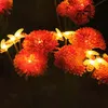 Lampade solari per la decorazione del giardino luci solari Anteprima dell’immagine prodotto 6