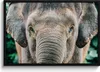 MuchoWow® MuchoWow® Gerahmtes Poster Elefant - Porträt - Produktbild-Vorschau 1
