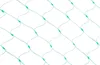 Síť Strend Pro, 2x10 m, 18 mm oka, proti ptákům, PE Náhled obrázku produktu 1