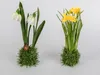 Schneeglöckchen Frühlingsblume H. 23cm auf Grassockel Produktbild-Vorschau 2
