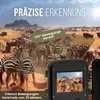 Kamera Strex Strex z noktowizorem - 16 MP 1080P Full HD - Podgląd zdjęcia produktu 8