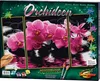 Noris Spiele Malen nach Zahlen - Orchideen (Triptychon); Produktbild-Vorschau 7