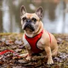 Dingo Hundegeschirre Druckfreie mit Doppelgurt-Verstellung, Produktbild-Vorschau 2