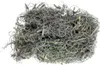 Curly Moos in Grau, Gewicht ca. 50g | Deko-Moos Produktbild-Vorschau 1