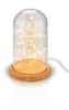 Goobay 60340 Cloche en verre avec micro-chaîne lumineuse Voir les images du produit 4