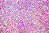 Bestway® Wasserball Glitter Fusion Ø 41 cm Produktbild-Vorschau 18