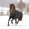 A horse wearing a black and gold blanket runs through the snow. Produktbild-Vorschau