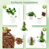 Moosstab Pflanzenstütze 4er Set 61cm, Rankhilfe für Produktbild-Vorschau 6