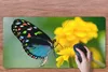 MuchoWow® Schreibtischunterlage Schmetterling - Blume - Produktbild-Vorschau 3