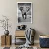 Poster - Poster ohne Rahmen - Elefant Wildnis Natur - 50x70 Produktbild-Vorschau 6