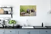 MuchoWow® Poster Flusspferde - Wasser - Südafrika 60x40 cm Produktbild-Vorschau 4