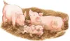 Ravensburger 6332 Puzzle Na wielkiej farmie 30-48 elementw Podgląd zdjęcia produktu 6