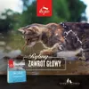 ORIJEN Six Fish Cat - trockenfutter für Katzen - 5 4kg Produktbild-Vorschau 28
