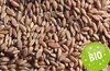 Bio-Dinkelkissen 30 x 20 cm, Bio-Dinkel + Baumwolle "Liebe Produktbild-Vorschau 6