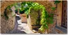 Tulup® Leinwandbild - 140x70 cm - Wandkunst - Drucke auf Produktbild-Vorschau 1