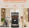 Balimo 3L Automatischer Futterautomat für Katze und Hund Produktbild-Vorschau 2
