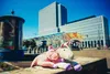 Two stuffed animals, a pink pig and a white unicorn, are lying on a concrete ledge in front of modern buildings. Podgląd zdjęcia produktu