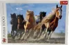 Puzzle 1000 : Chevaux au galop Voir les images du produit 6