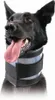 Collare per cani KVP nero (20-64 cm) Anteprima dell’immagine prodotto 1