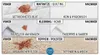 Blutfleck Entferner 200g (10L) Enzymreiniger | PHOENIX Produktbild-Vorschau 3