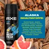 AXE Alaska Deo 24x 150ml Deospray Deodorant Bodyspray ohne Produktbild-Vorschau 12
