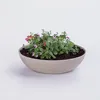Pflanzschale für draußen Dekoschalen rund sand beige 37 cm Produktbild-Vorschau 7