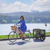 Hundeanhänger für Fahrrad Hunde Fahrradanhänger inkl. Fahne Produktbild-Vorschau 4